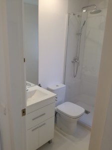 Obra baño Avda. San Luis